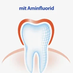 Zahnhölzer, 3X32 St^Elmex New
