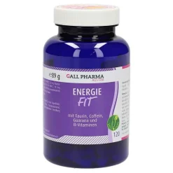 Hecht Pharma Energie Fit GPH Kapseln, 120 St- Hirnleistung & Nerven