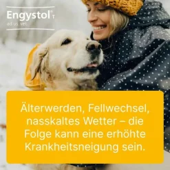 Engystol Biologische Heilmittel Heel Gmbh-® ad us. vet. Tabletten, 100 St