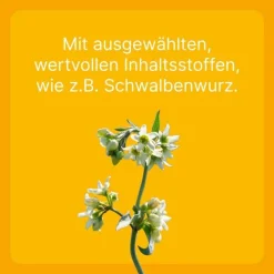 Engystol Biologische Heilmittel Heel Gmbh-® ad us. vet. Tabletten, 100 St