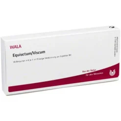 Equisetum / Viscum Ampullen, 10X1 ml- Niere, Blase & Prostata
