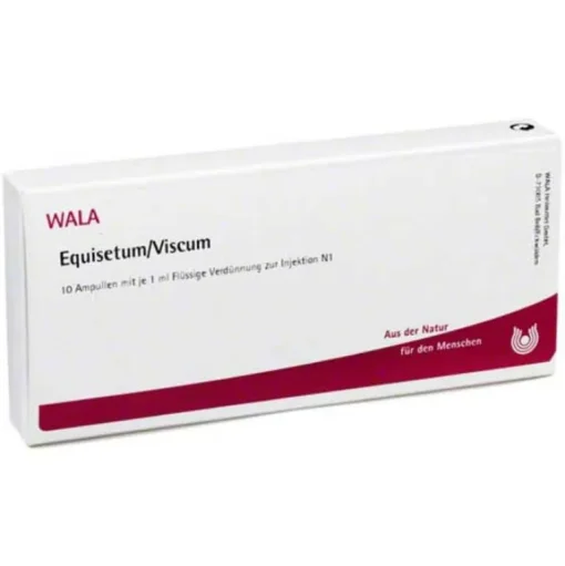 Equisetum / Viscum Ampullen, 10X1 ml- Niere, Blase & Prostata