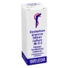 Weleda Equisetum arvense silicea cultum Rh D 3 Dilution, 20 ml- Haut