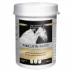 Percutin Paste äußerlich vet. (für Tiere), 2 kg^Equistro Hot