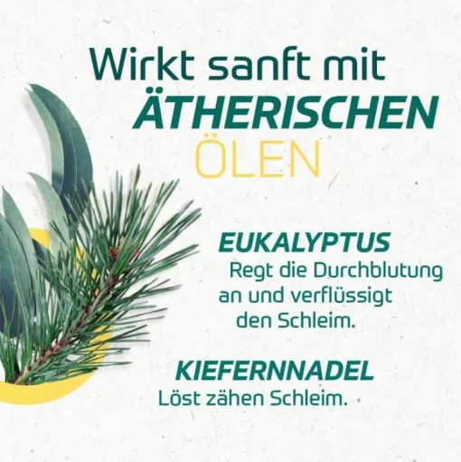 Eucabal Erkältungsbalsam Kinder|Erkältungsbalsam-®-Balsam S Creme, 25 ml