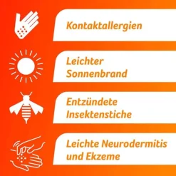 Fenihydrocort Creme 0,25 %, Hydrocortison 2,5 mg/g, wirksam bei Hautentzündungen, 20 g- Mittel Gegen Sonnenbrand|Salbe Gegen Juckreiz