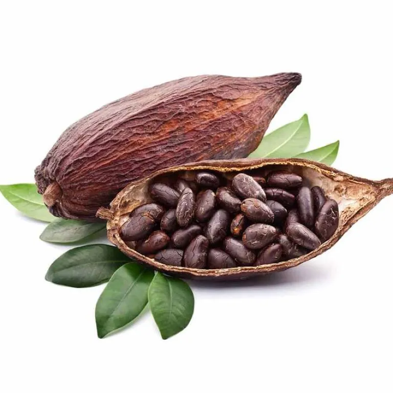 Fermentura Magnesium Tabletten, 60 St^Pharmatura Outlet