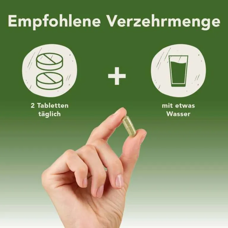 Fermentura Magnesium Tabletten, 60 St^Pharmatura Outlet