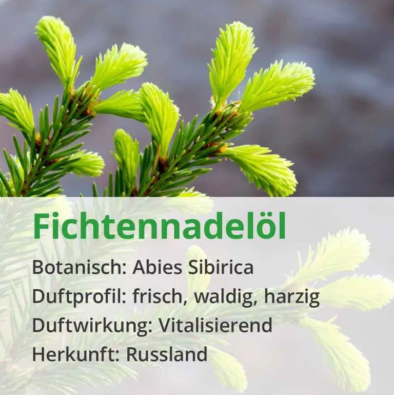 Fichtennadel Öl naturrein ätherisch, 10 ml^Casida Outlet