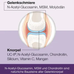 Dr. Loges Glucosamin-Chondroitin-Flexiloges Knorpel aktiv Kapseln, 120 St