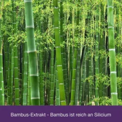 Dr. Loges Glucosamin-Chondroitin-Flexiloges Knorpel aktiv Kapseln, 120 St