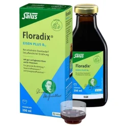 Floradix Eisen Saft|Eisenversorgung-Eisen plus B12 vegan Tonikum, 250 ml