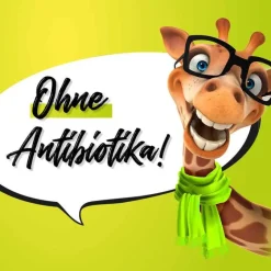 Flurbiprofen 8,75 mg / Dosierspray Mundhöhle, 15 ml^Dexcel