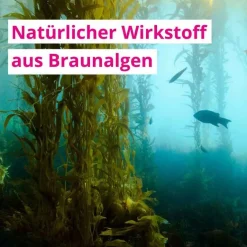 Liquid Sachet, 20 St^Fluxan Sale