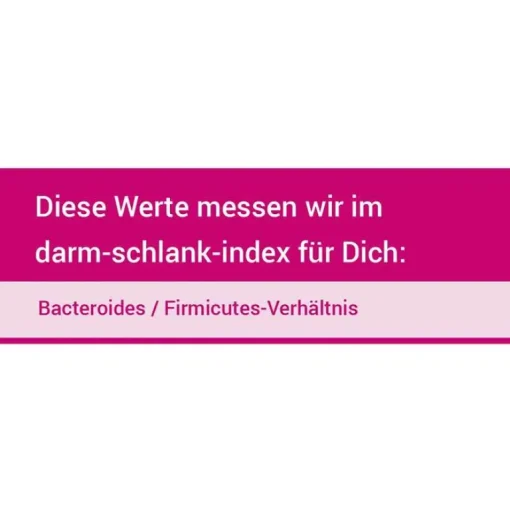 For You darm-schlank-index Test, 1 St- Sonstige Tests