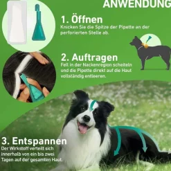 Frontline COMBO® gegen Zecken, Flöhe bei Hunden M (10-20 kg), 3 St- Flöhe, Zecken & Co.