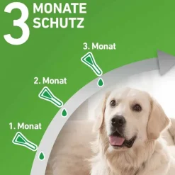 Frontline COMBO® gegen Zecken, Flöhe bei Hunden M (10-20 kg), 3 St- Flöhe, Zecken & Co.