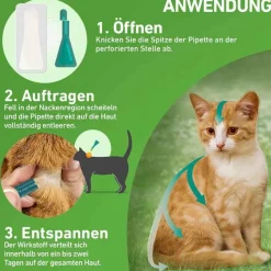 Frontline Flöhe, Zecken & Co.-COMBO® SPOT ON Katze, 6 St