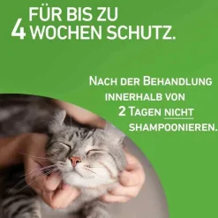 Frontline Flöhe, Zecken & Co.-COMBO® SPOT ON Katze, 6 St