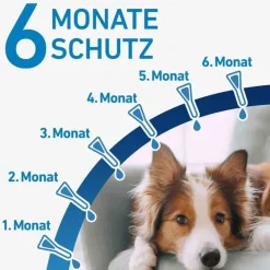 Frontline ® SPOT ON Hund M Lösung, 6 St- Flöhe, Zecken & Co.