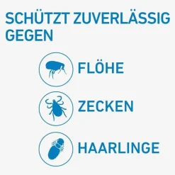 Frontline Flöhe, Zecken & Co.-® SPOT ON Katze , 6 St