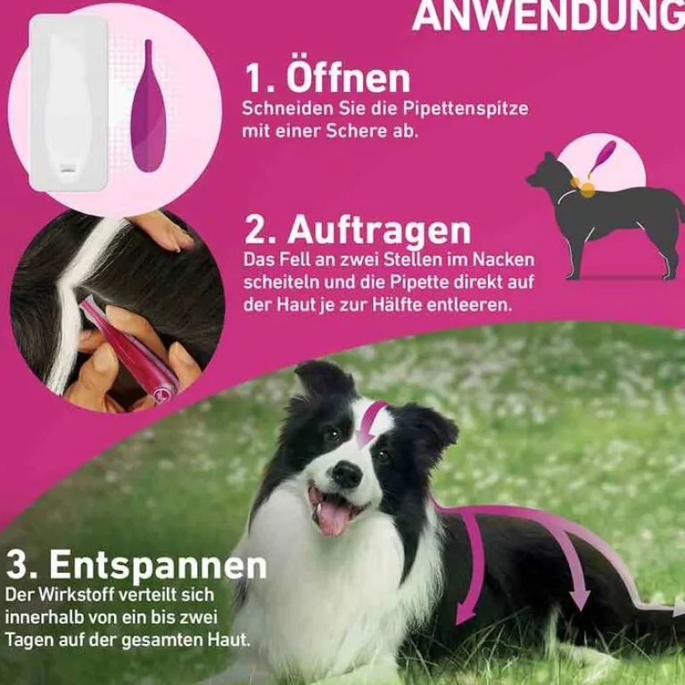 Frontline TRI-ACT® gegen Zecke, Floh und fliegende Insekten bei Hunden (2-5kg), 3 St- Flöhe, Zecken & Co.