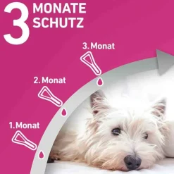 Frontline TRI-ACT® gegen Zecke, Floh und fliegende Insekten bei Hunden (2-5kg), 3 St- Flöhe, Zecken & Co.