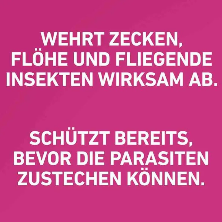 Frontline TRI-ACT® gegen Zecke, Floh und fliegende Insekten bei Hunden (20-40kg), 3 St- Flöhe, Zecken & Co.