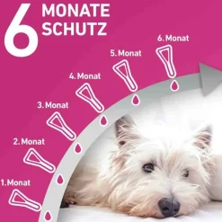 Frontline TRI-ACT® gegen Zecke, Floh und fliegende Insekten bei Hunden (40-60kg), 6 St- Flöhe, Zecken & Co.