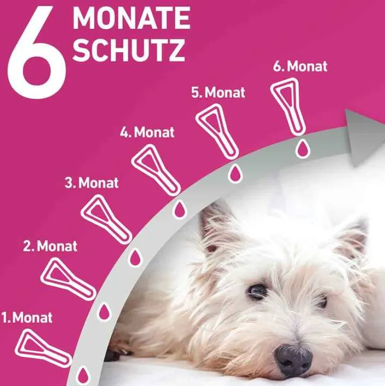 Frontline TRI-ACT® gegen Zecke, Floh und fliegende Insekten bei Hunden (40-60kg), 6 St- Flöhe, Zecken & Co.