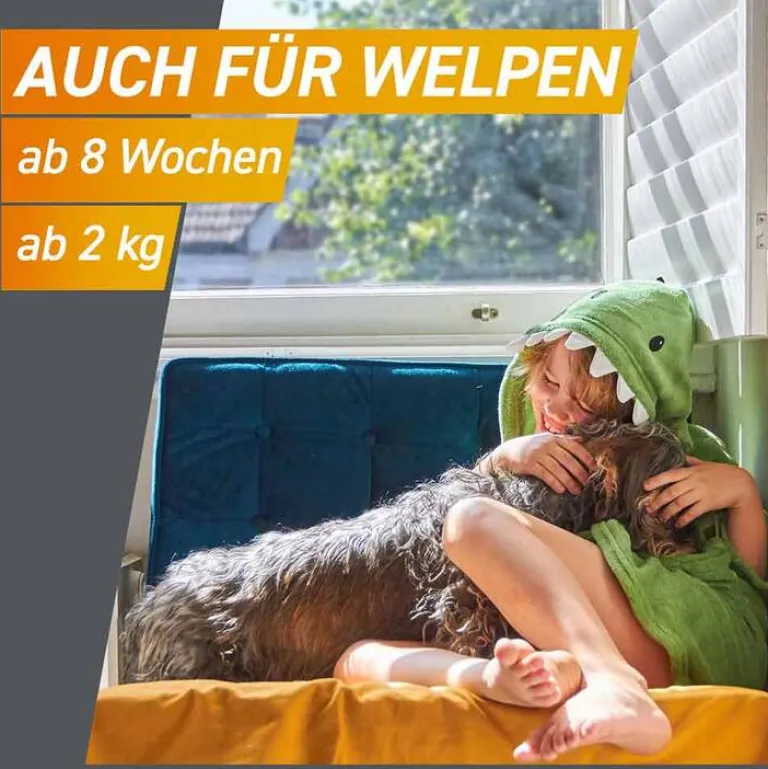 68 mg Kautabletten für Hunde 10 - 25 kg, 3 St^Frontpro Sale