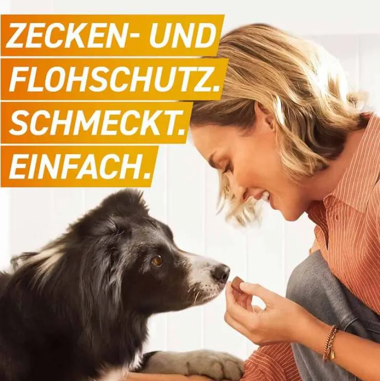 Frontpro 11 mg Kautabletten für Hunde 2 - 4 kg, 3 St- Flöhe, Zecken & Co.