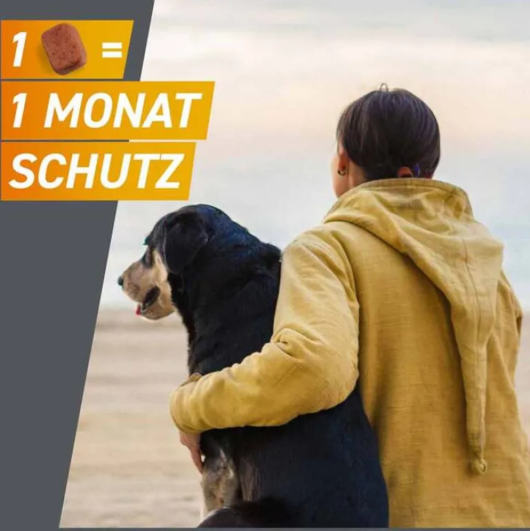 Frontpro 11 mg Kautabletten für Hunde 2 - 4 kg, 3 St- Flöhe, Zecken & Co.