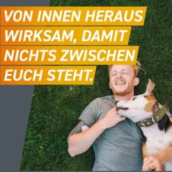 Frontpro 11 mg Kautabletten für Hunde 2 - 4 kg, 3 St- Flöhe, Zecken & Co.