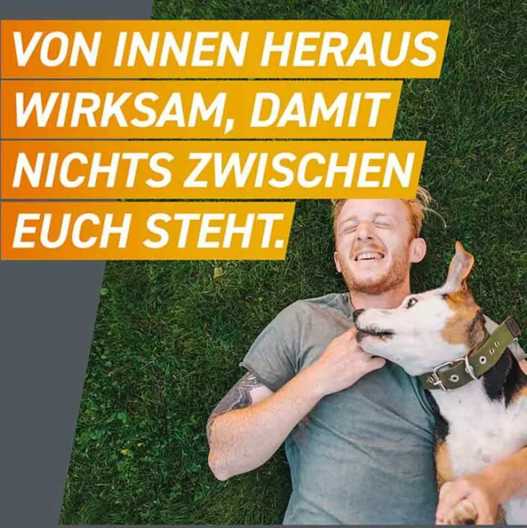 Frontpro 11 mg Kautabletten für Hunde 2 - 4 kg, 3 St- Flöhe, Zecken & Co.