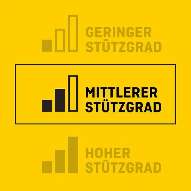 Futuro Knöchel- & Sprunggelenkbandagen-Sport Sprunggelenkbandage alle Größen, 1 St