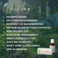 Gastritol Verdauung|Sodbrennen Medikamente-® Liquid Flüssigkeit zum Einnehmen, 100 ml