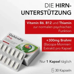 Gehirnfit Pro Kapseln, 30 St^Auranatura Outlet