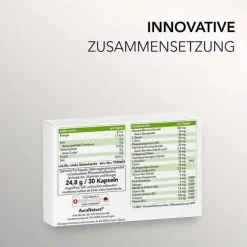 Gehirnfit Pro Kapseln, 30 St^Auranatura Outlet