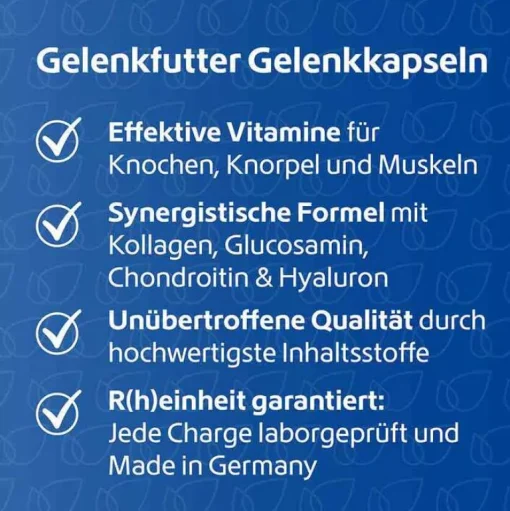 R(h)ein Nutrition Kollagen-Gelenkfutter Gelenkkapseln, 240 St