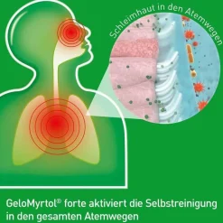 forte Kapseln, 100 St^Gelomyrtol Hot