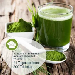 GSE Gerstengras|Sonstige Bio Produkte-Gerstengras 500 mg Bio Tabletten, 500 St