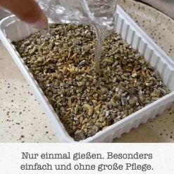 Gimpet Futter & Snacks-Soft Gras für Katzen, 100 g