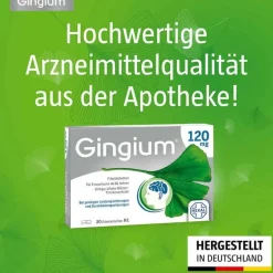 40 mg Filmtabletten, 30 St^Gingium Outlet