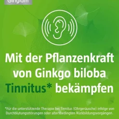 40 mg Filmtabletten, 30 St^Gingium Outlet