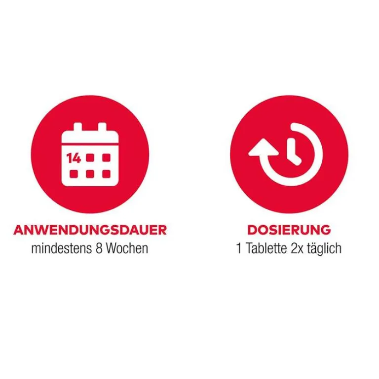 Aliud Pharma GINKGO AL 120 mg Filmtabletten, 120 St- Ginkgo