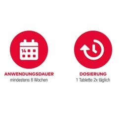 Aliud Pharma Ginkgo-GINKGO AL 120 mg Filmtabletten, 60 St