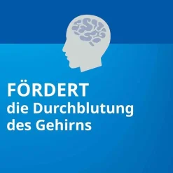 Stada Ginkgo-Ginkgo ® 80 mg Filmtabletten, 30 St