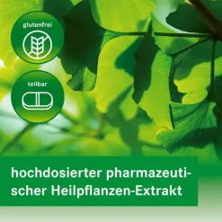Heumann GINKGOVITAL 240 mg Filmtabletten, 120 St- Ginkgo|Durchblutungs Tabletten