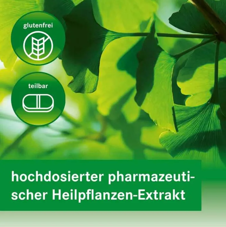 Heumann GINKGOVITAL 240 mg Filmtabletten, 30 St- Ginkgo|Durchblutungs Tabletten